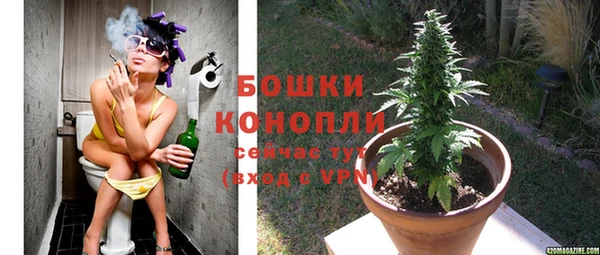тгк Горнозаводск