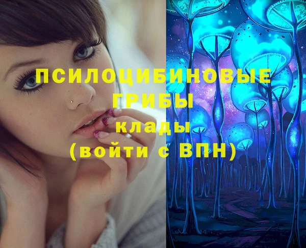 эйфоретик Алзамай