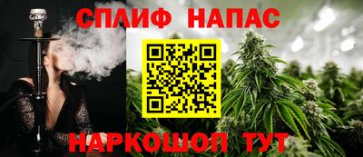 гашик Нарткала