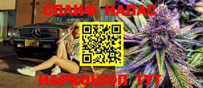 гашик Нарткала