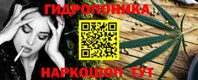 гашик Нарткала