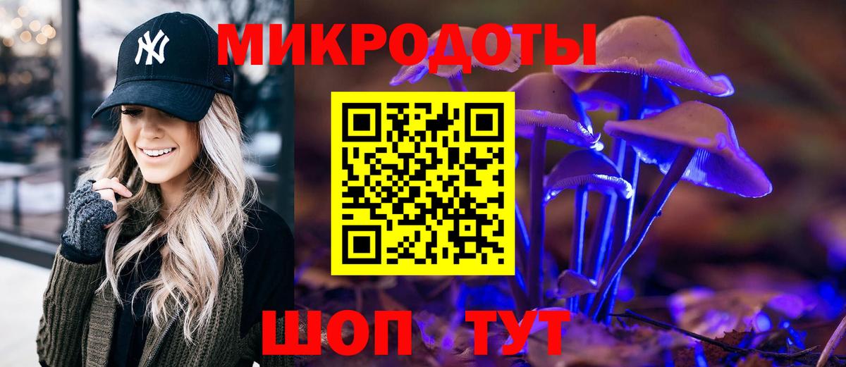 Псилоцибиновые грибы Psilocybe Старая Русса