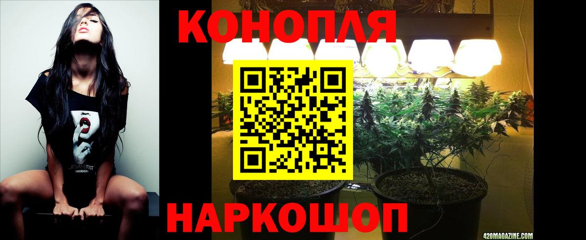 Бошки марихуана MAZAR  МАРИХУАНА планчик  МАРИХУАНА гибрид  Вход с VPN  Старая Русса  Канабис White Widow 